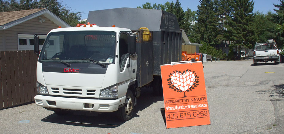 Learn about Arborist by Nature Tree Service About Arborist by Nature Tree Service