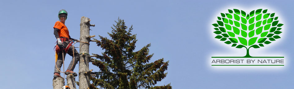 Book a Calgary Arborist