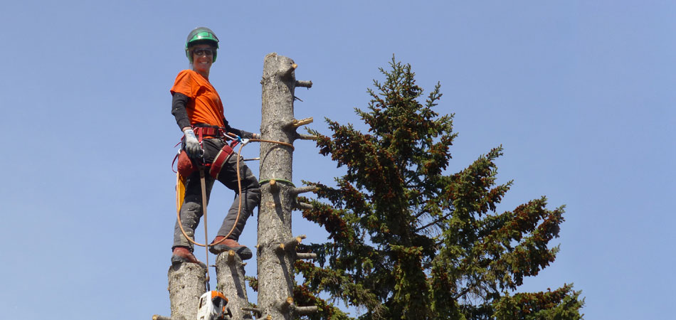 Contact Arborist by Nature Tree Service