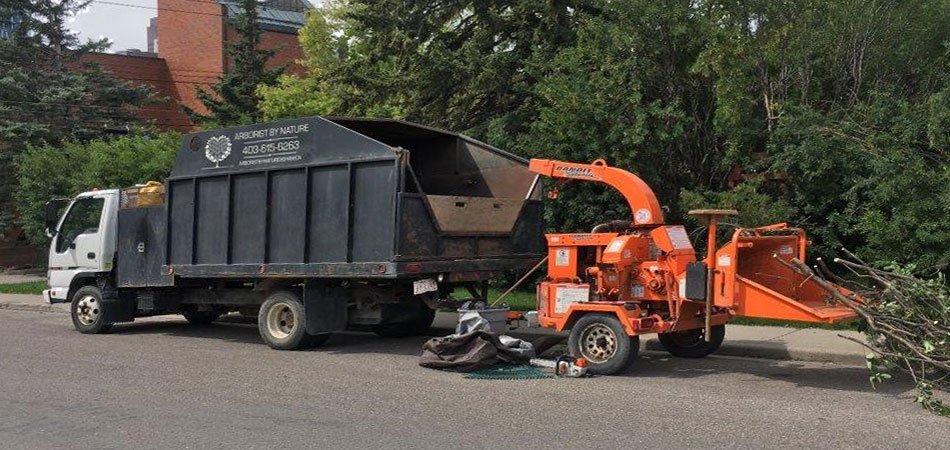 Stump Grinding Calgary Calgary Tree Removal