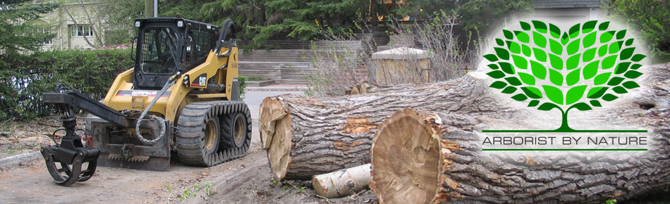 Calgary Arborist Customer Reviews Client Testimonails for Arborist by Nature