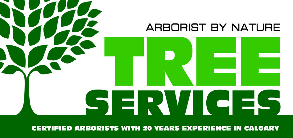 Calgary Tree Removal