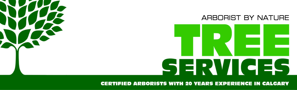 Calgary Tree Service