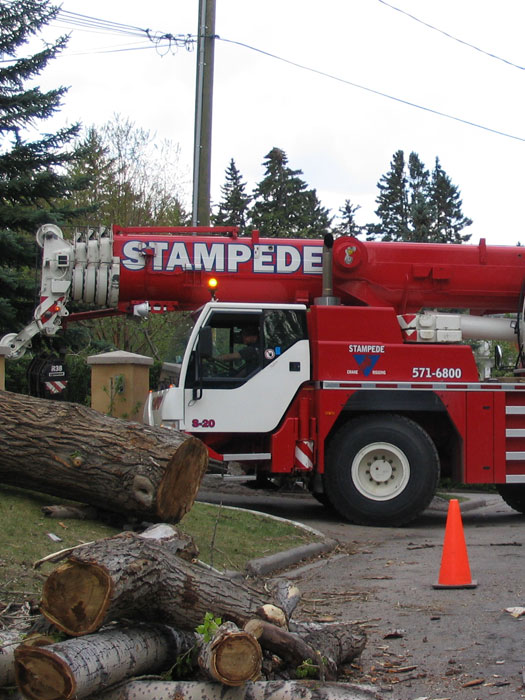 Big job needs a big crane