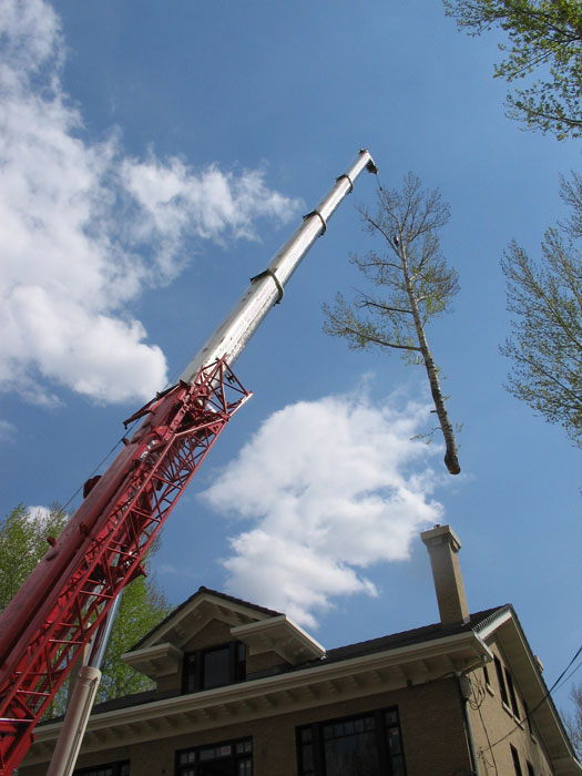 Safe removal and property protection